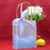 Bolsa transparente de mano para regalo de cumpleaños de niños de preescolar bolsa de regalo vacía para merienda de fiesta de niños de diez años
