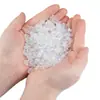 Estilo Oceánico Transparente Color Ab Gradiente Delfín Concha Estrella de Mar Agujero Recto Cuentas Sueltas Accesorios para Joyería