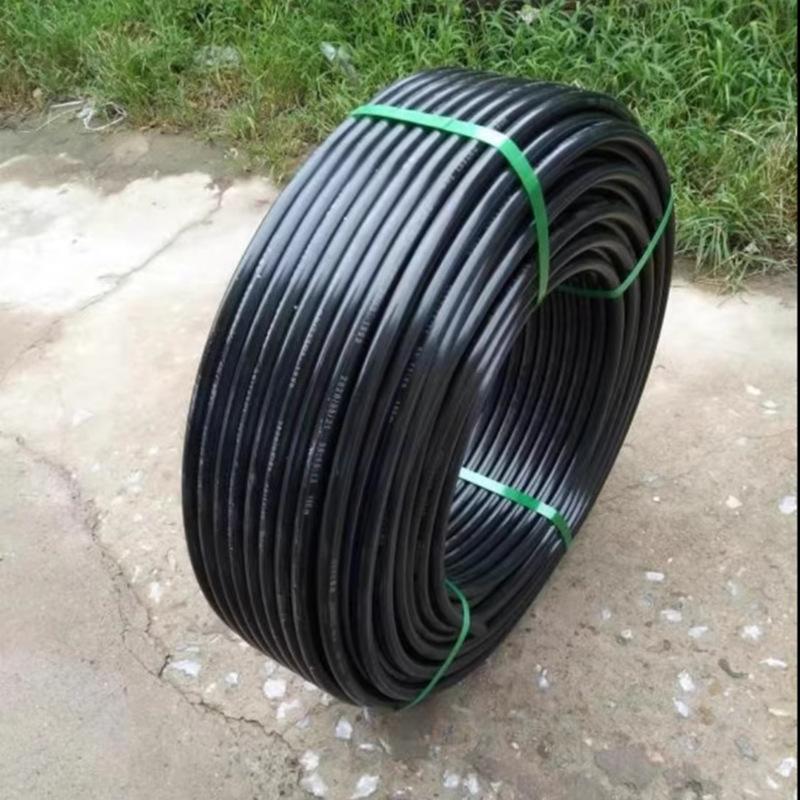 微信图片_20231026160348