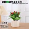 Las plantas en maceta son fáciles de cuidar en las salas de estar interiores.; plantas verdes hidropónicas, bonsáis creativos, plantas de la suerte, plantas pequeñas en maceta y árboles de la fortuna son todas excelentes opciones