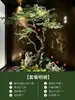 Árbol de Arce de Simulación de Gama Alta Andromeda Árbol Falso de Interior Plantas Verdes Decoración de Paisajismo Árbol Banyan Grande Plantas Simples para Escaparate