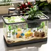 Acuario Pequeño Creativo para Uso Doméstico, Acuario de Paisajismo para Sala de Estar, Adecuado para Cría de Peces Dorados y Peces Ornamentales, Acuario Ecológico Transparente con Tapa