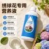 Fertilizante Especial para Hortênsias Solução Nutritiva Folhas de Hortênsia Secas Folhas Caindo Folhas Caindo Primeiros Socorros Solução Nutritiva Universal para Plantas