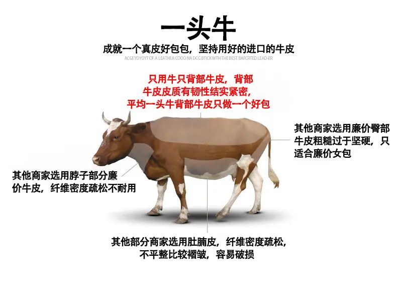 未标题-5