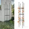 Jardinagem de flores transfronteiriça Planta Pepino Tomate Uva Rosa Suporte de flores Suporte de escalada Suporte de flores Haste de suporte Arte de ferro