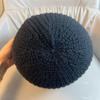 Sombrero de Cubo de Lana Tejida Estilo Coreano Casual Versátil para Otoño e Invierno para Mujer, Cálido y que Ilumina la Piel, Estilo Ins