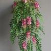 Flores de Glicina Artificiales, Decoraciones de Flores Artificiales de Glicina y Acacia, Guirnaldas de Flores de Plástico, Plantas Trepadoras, Flores de Trepadora para Colgar en Paredes y Techos
