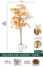 Plantas Verdes de Bordo Árvore Falsa de Bordo Vermelho Plantas em Vasos de Luxo Leve Decoração de Paisagismo para Sala de Estar de Casa Exibição de Janela Planta de Chão