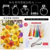 Marcapáginas de flores secas especímenes colección de primavera en botella de película plástica materiales hechos a mano para manualidades estudiantes de primaria flores transparentes