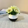 Vaso de Flor Preguiçoso para Mesa de Escritório com 5 Gérberas, Vaso de Flor Artificial de Plástico para Casa, Planta em Vaso Jiboia Orquídea