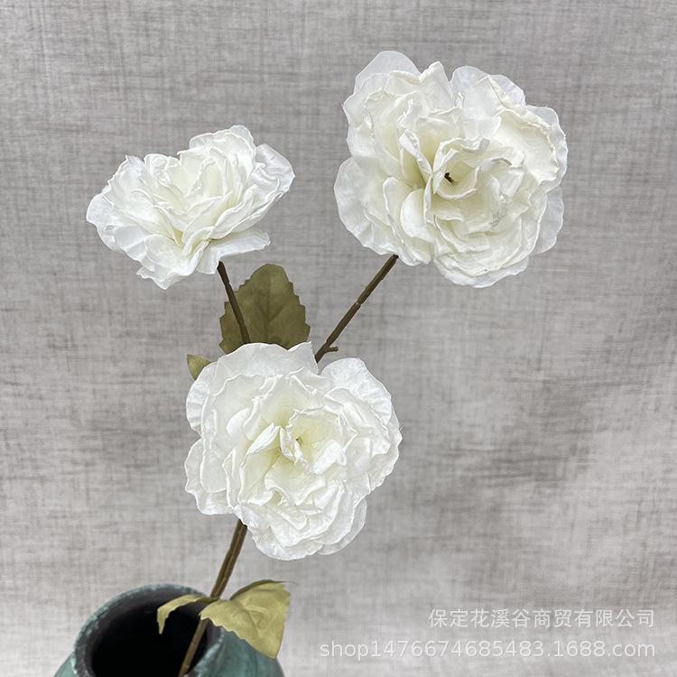 3头琉璃牡丹-exmjx-白色.JPG