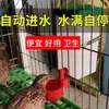 Comedero para Codornices Bebedero para Agua Jaula Colgante Bebedero Automático Conector de Agujero para Tanque de Agua Accesorios para Jaula Cría de Pollo Paloma Añadir Agua Bebedero