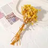 Kit de Materiales Florales Eternos para Ramo de Flores Secas DIY, Accesorios Decorativos Hechos a Mano, Materiales Florales y Accesorios Coloridos Mixtos con Temática de Sanación