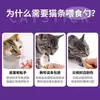 Dispensador de petiscos para gato, colher para patê de carne, alimentador de lanches líquidos em bisnaga, colher especial para alimentar petiscos de gato, mantém a limpeza