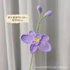 Flor de Phalaenopsis Transfronteriza Regalo de San Valentín Flor Hecha a Mano Flor de Lana Flor Tejida Terminada Venta al por Mayor Flor Tejida Crochet Simulación