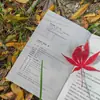 El Maestro de la Naturaleza Humana, Ming Dao, Te Enseña a Salir de la Cognición Tradicional y Reconfigurar Tu Interpretación de la Vida a Través de Ejemplos de Vida