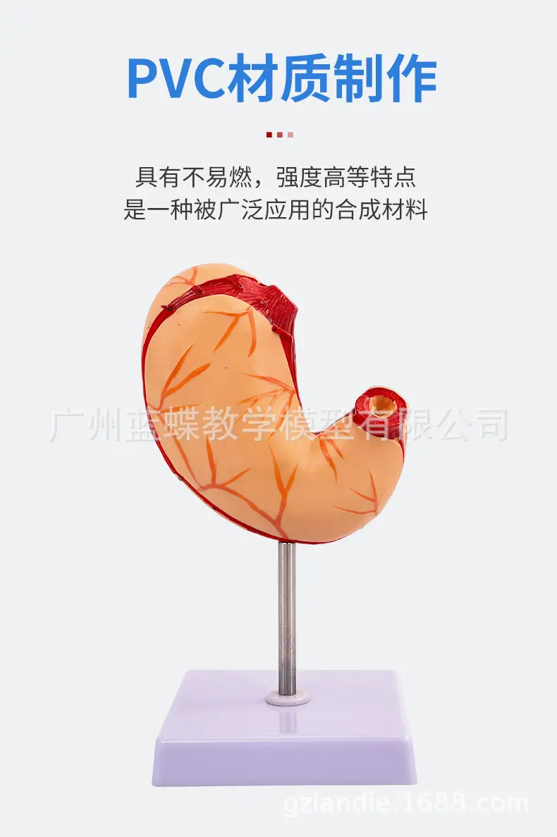 详情_03