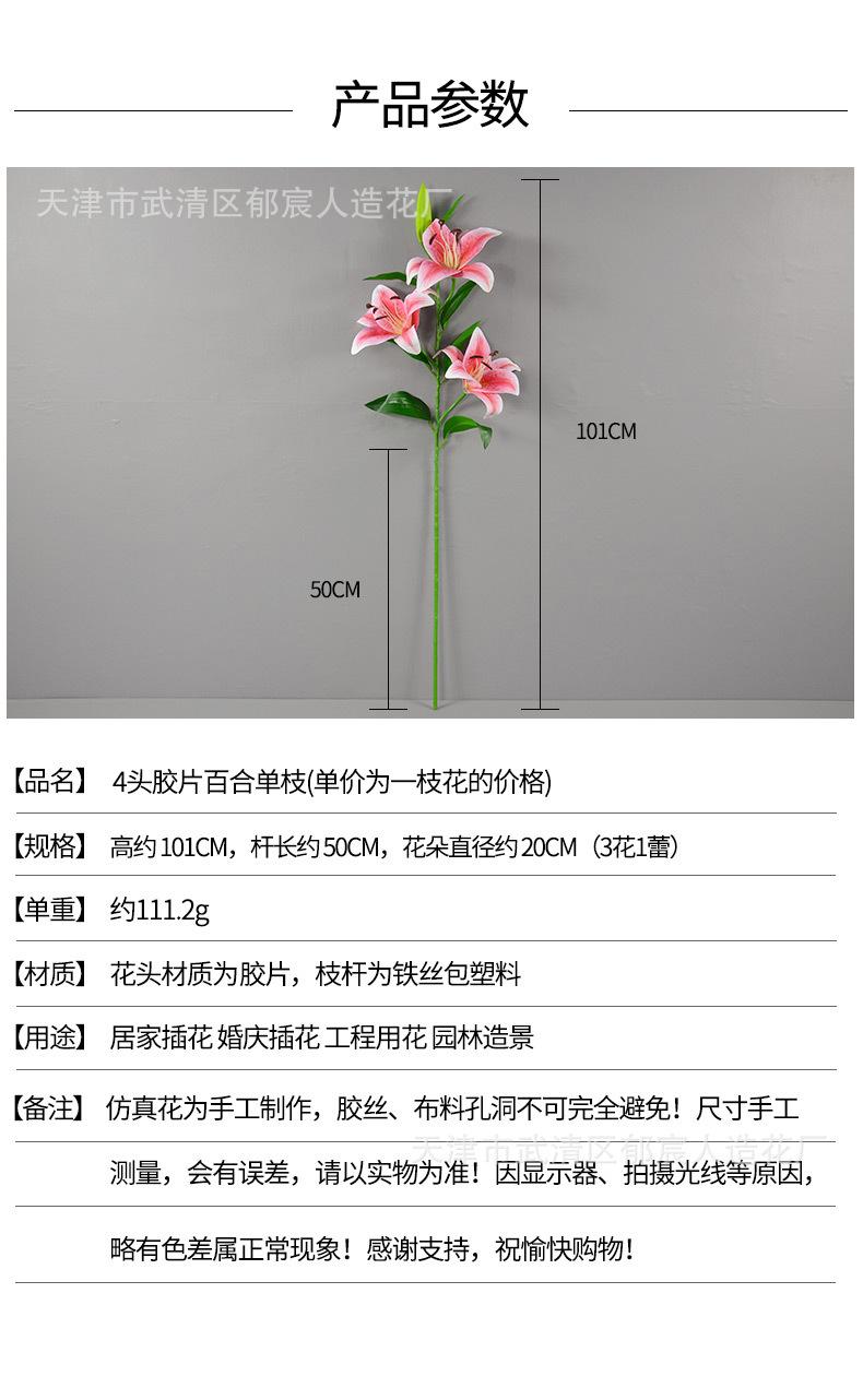 详情_01.jpg