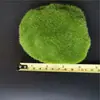 Gramado de Pedra Musgo Simulada, Parede de Fundo de Pedra Musgo, Blocos de Pedra Artificiais, Decoração de Micro-Paisagem, Pedra Bruta