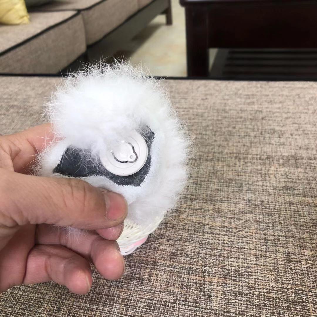 小圆框兔子和猫，和叫猫