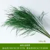 Grama Falsa Barba de Dragão, Grama Aspargo, Flores Artificiais, Plantas Verdes, Arranjos Florais Estilo Monet, Decoração de Jardim, Arranjos Florais de Fundo, Decorações de Casamento
