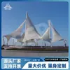 Proyecto de Estructura de Membrana Paisajística Gran Escala Golondrina Voladora, Toldo Exterior de Membrana Tensada Arte Creativo Sombrilla, Admite Personalización