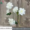 Hibisco Peônia de Galhos Altos com 5 Cabeças, Flor de Macieira Ornamental, Arranjo de Flores de Seda no Local do Evento da Cerimônia, Posicionamento de Flores Artificiais para Adereços de Fotografia