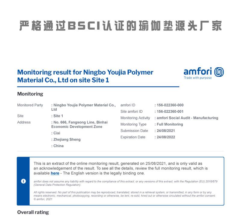 宁波优伽BSCI报告1