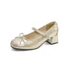 Weimei Girl 173-6 Sapatos de Salto Grosso Estilo Francês Boca Rasa para Mulheres 2026 Primavera/Verão Novos Sapatos Mary Jane Prateados de Alta Qualidade