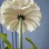 Flor Artificial de Caléndula Individual Adorno para Mesa de Comedor de Sala de Estar del Hogar Accesorio de Fotografía Arreglo Floral de Boda Ramo de Flores Artificiales Venta al por Mayor