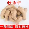 Envío gratisJengibre al por mayor, jengibre maduro, jengibre amarillo, jengibre comestible, jengibre nativo, jengibre madre, jengibre posparto, jengibre amarillo grande, jengibre pequeño, fresco
