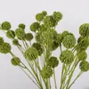 Arreglo Artificial Transfronterizo 10 Bolas Doradas Fruta de Castaña de Múltiples Puntas Diente de León Ramo Decoración de Arreglo Floral de Escritorio para Sala de Estar