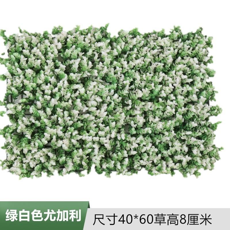 白绿色尤加利.jpg