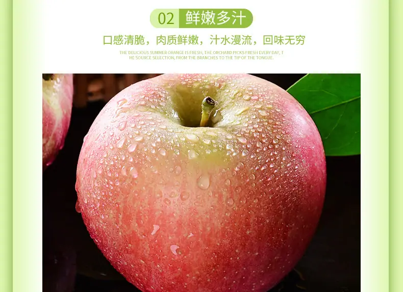 山东烟台红富士详情图5