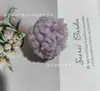 Fábrica de Origen Bola de Pelo Imitación Oso de Peluche Ligera No Descolorante Colgante para Teléfono, Accesorio para Zapato tipo Clog Bola de Lana de Cordero