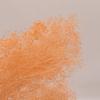 Buquê de Flores Secas Estrela Milionária, Material de Flor de Gipsofila de Cabeça Pequena, Enfeites de Decoração de Interior Atacado, Flores Artesanais Estilo Estrela, Novo Estilo