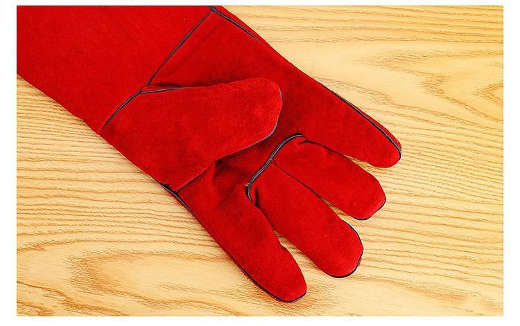 O1CN01lzOPTb1P9WlmnYAmj_!!6000