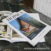 Casa modelo INS, armario decorativo, libro decorativo, decoración suave, libro decorativo, página abatible, diseño de decoración, pequeño, transparente