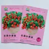 Plántulas de Tomate Cherry Cuatro Estaciones Tomates Grandes Tomates Pequeños Verduras en Maceta Semillas de Tomate Cherry Multitemporada Venta Caliente