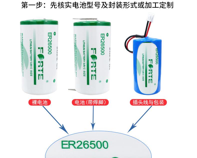 ER26500_03.jpg