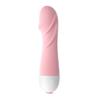 Ovo Vibratório Pequena Concha Laile Cavalo-marinho Pequeno Brinquedo Sexual Feminino Masturbador Masculino Brinquedos Sexuais para Adultos