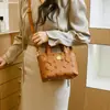 Bolsa Tendência Influenciador Estilo Primavera/Verão 2026 Elegante Deusa Transversal Mini Cesta Bolsa Tote para o Dia a Dia