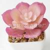 Suculenta Artificial Cabeça de Flor de Suculenta Artificial Bonsai Artificial Acessórios DIY Fabricante Conjunto de Cabeças de Flor de Suculenta Cor Personalizada