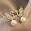 Brincos da Moda Estilo Coreano Mais Vendidos Novo Modelo Brincos Femininos Simples e Elegantes Versáteis Tiktok Mesmo Estilo Tarraxas Atacado