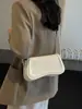 Bolsa de Axila de Nicho Feminina Outono e Inverno 2024 Nova Tendência Moda Pequena Quadrada Textura de Alto Padrão Estilo Estrangeiro Versátil Bolsa Transversal