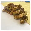Venta al por mayor del fabricante Piña de Abeto Pino Cono Grande Cabeza de Bosque Cono de Pino Bola de Pino Decoración Navideña Manualidad DIY Material de Manualidad