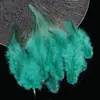 Venta Directa de Fábrica de Puntas de Plumas Blancas Cortas Materiales para Manualidades DIY Accesorios para Atrapasueños Juguetes para Mascotas Palo Atrapagatos Decoraciones