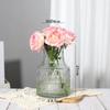 Lujo Ligero Jarrón de Vidrio Transparente Pintado en Oro Flor Seca Sala de Estar Adornos Florales Decorativo Creativo Simple Nórdico Arreglo Floral con Flores Cultivadas en Agua