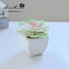 Suculenta Pequeño Bonsái Cerámica Muebles para el Hogar Decoración Fabricante de Jinhua Plantas Verdes Aliexpress Flor Artificial Plantas en Maceta