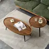 Mesa de centro, simples e moderna, estilo nórdico, para uso doméstico, redonda, adequada para salas de estar, mesa lateral para sofá pequeno, tamanho compacto, portátil, mesa de chá dobrável